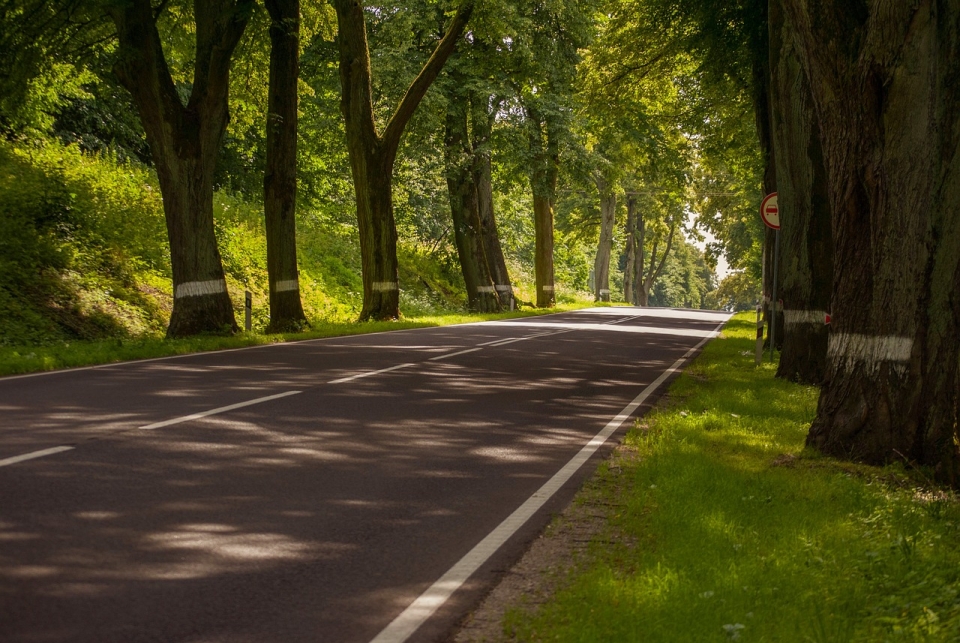 b96 släp körkort b96 släp